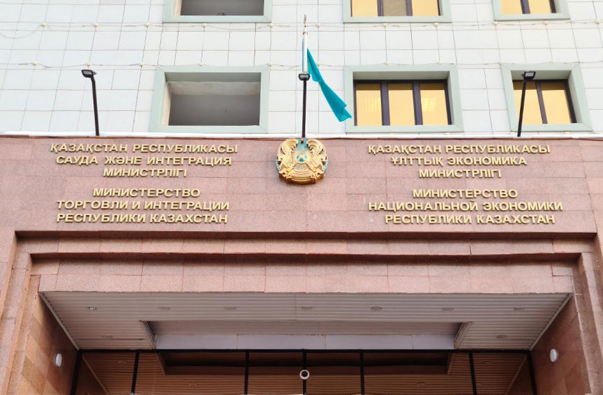 Переименовать Миннацэкономики в «Министерство розовых пони» предложил политолог