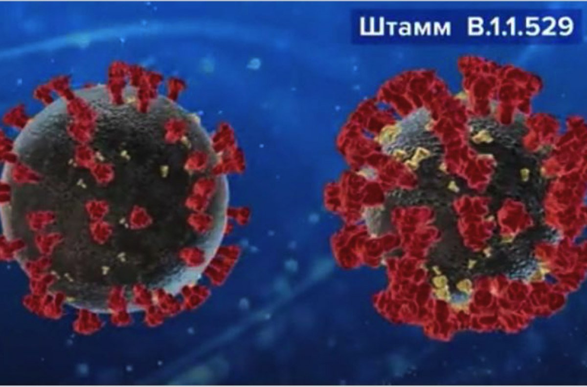 «Омикрон» вызвал новую волну паники