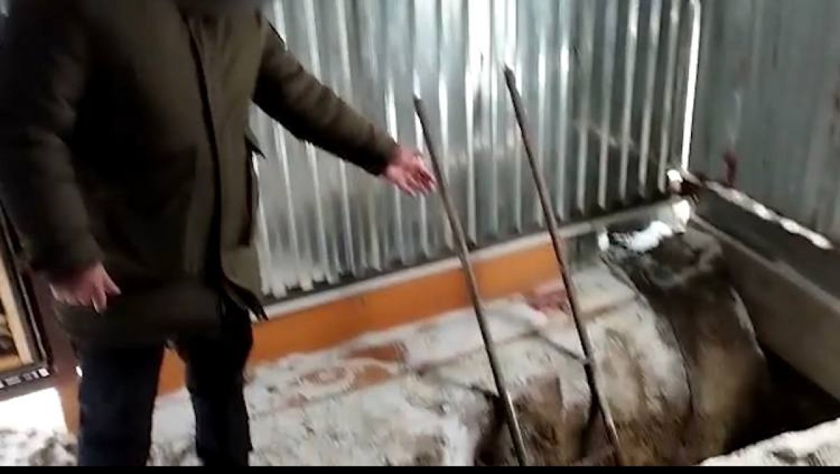 Для добычи золота: старатели вырыли незаконный пролаз в Алматинской области