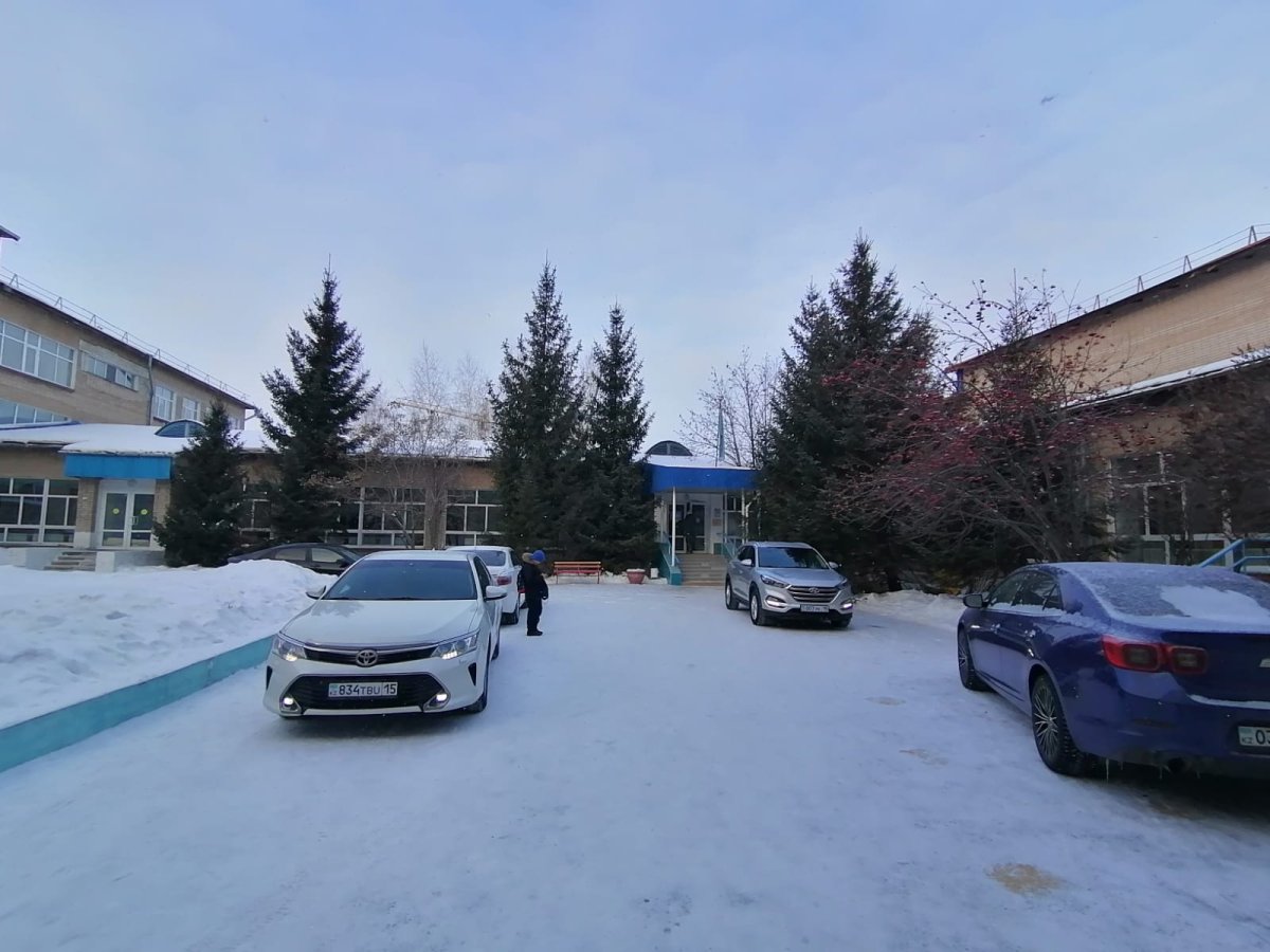 В Петропавловске 9-классник c ножом и топором напал на детей