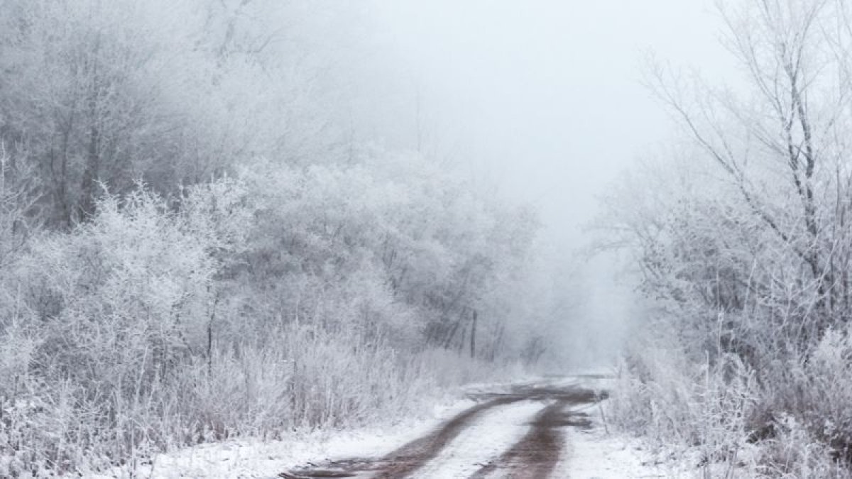 Какой будет погода в Казахстане 24 февраля