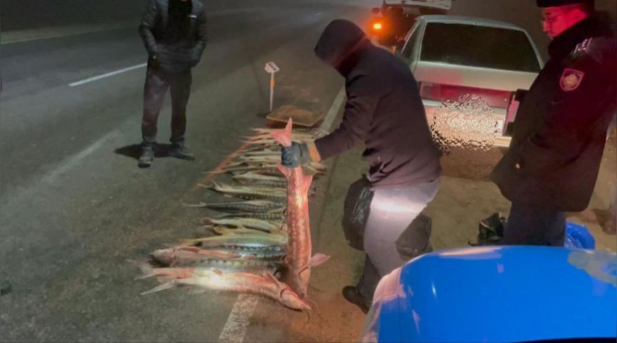 Более 120 кг рыбы изъяли у браконьера в Мангистау