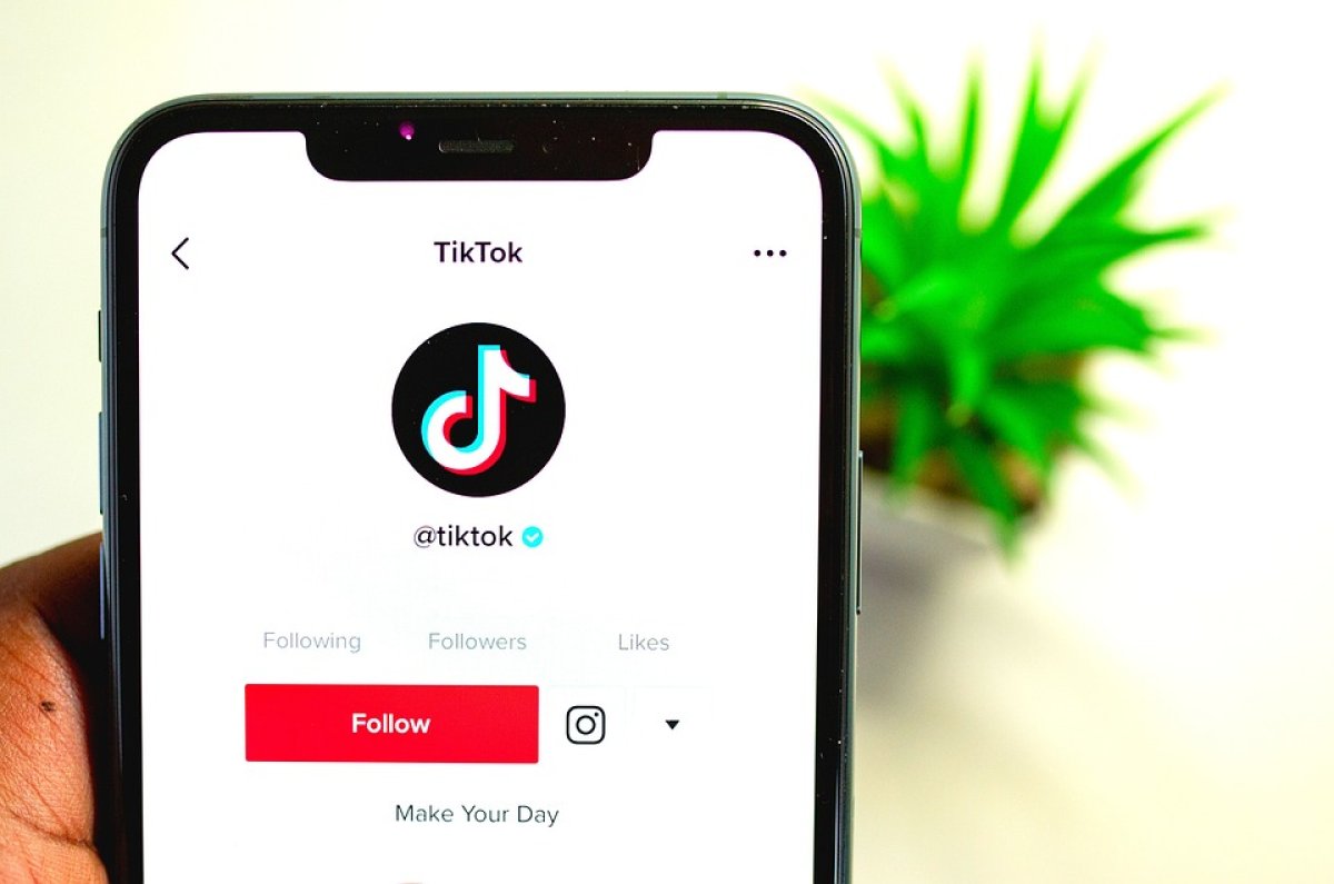 Жители Алматы устраивали игры на деньги в TikTok и заработали 13 млн: их осудили