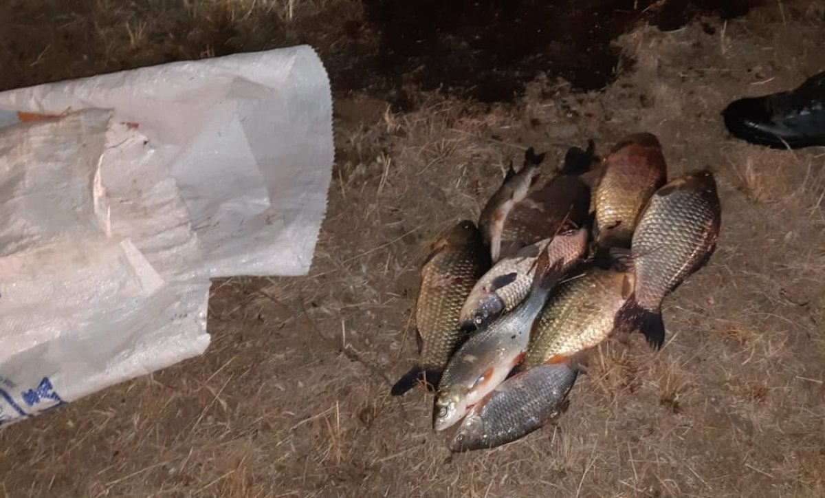Сельчанина наказали за ловлю рыбы в Павлодарской области