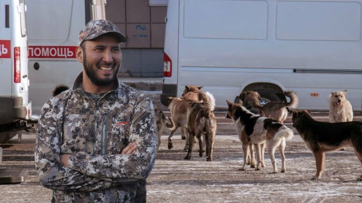 Лечить психологические травмы собак предложил депутат