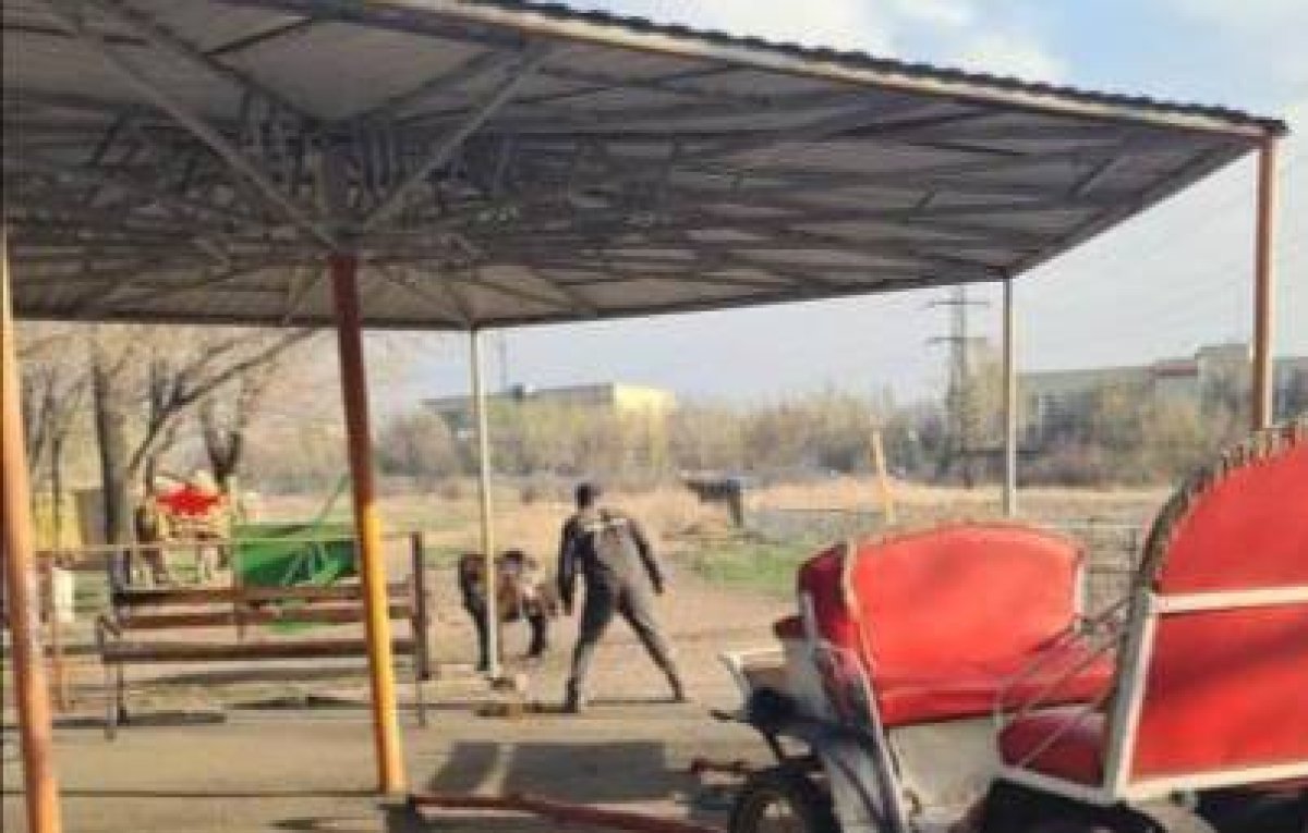 Испуганная лошадь кинулась в беседку и ранила людей в карагандинском зоопарке