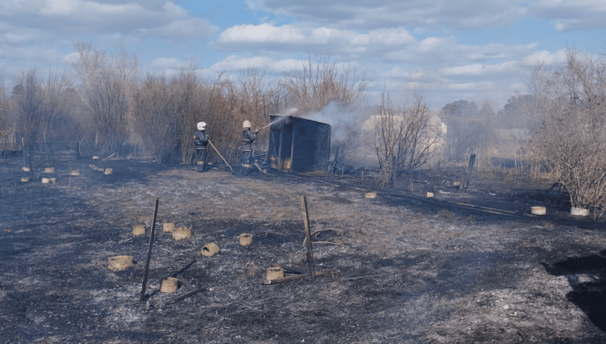 В Павлодаре сгорели более 100 дачных участков