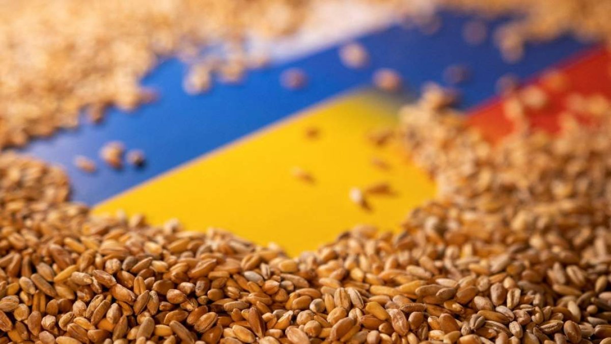 Турция рассчитывает на продление зерновой сделки минимум на два месяца - МИД