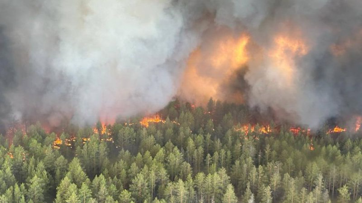 Пожар в Абайской области: число жертв выросло