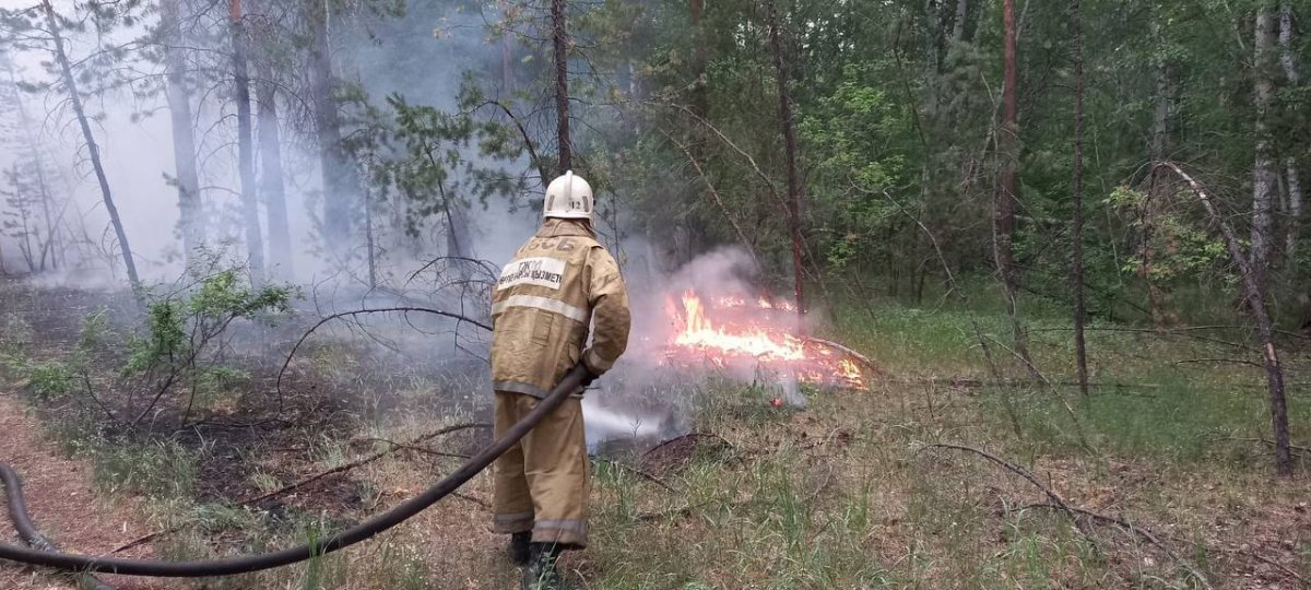 Все пропавшие лесники в области Абай погибли
