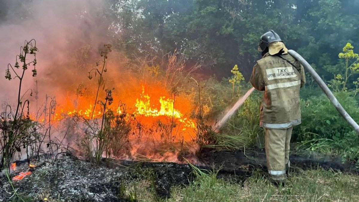 Уголовное дело возбудили по факту гибели людей в области Абай