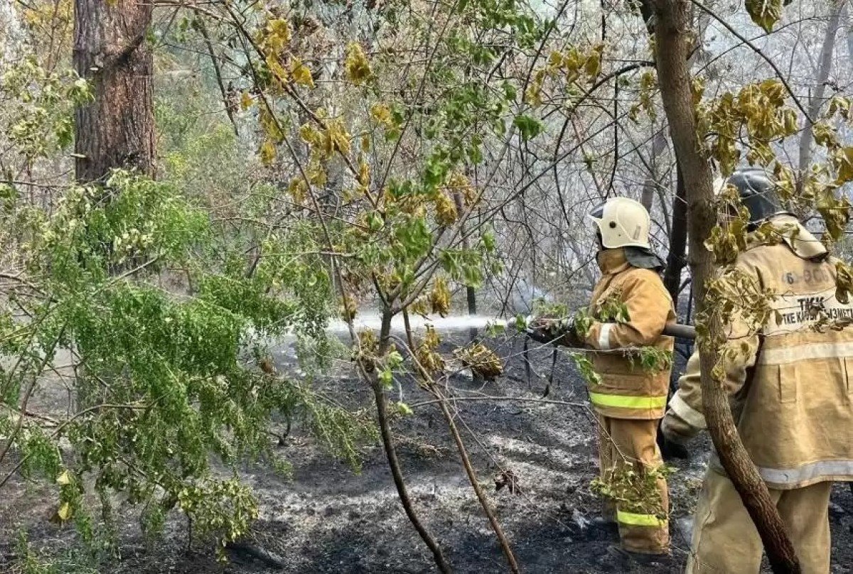 Пожар в области Абай идет в сторону Каштакского лесничества