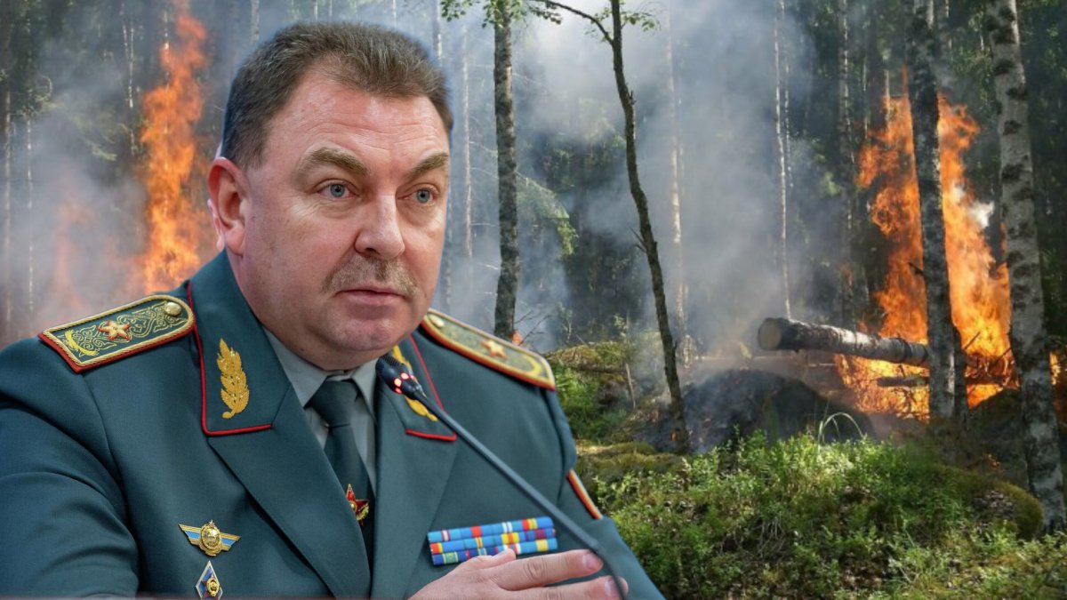 Накажут ли экс-главу МЧС Ильина за пожары в Абайской области, ответил министр