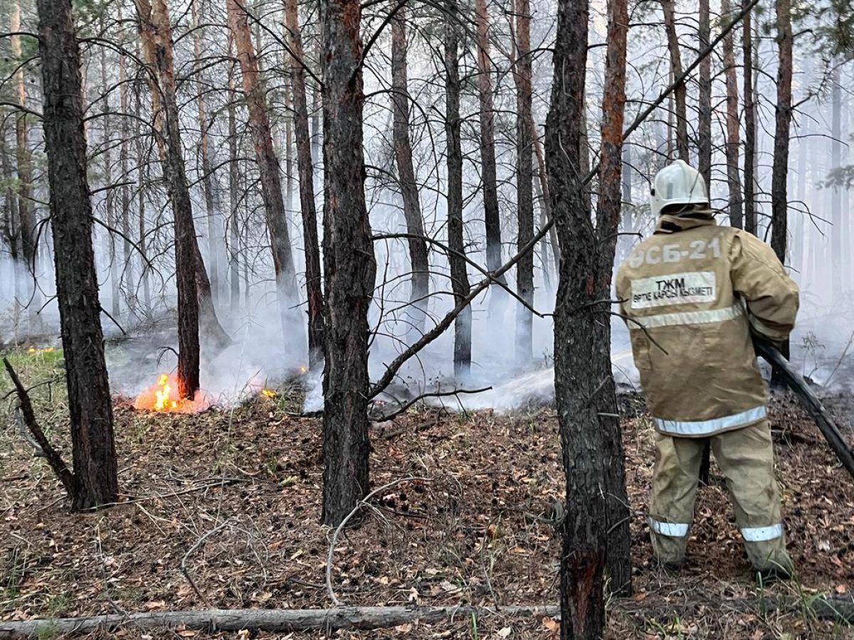 Пожар в области Абай локализован