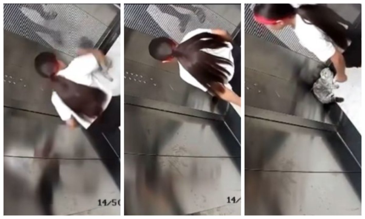 В Алматы девочка жестоко избила кошку и попала на видео