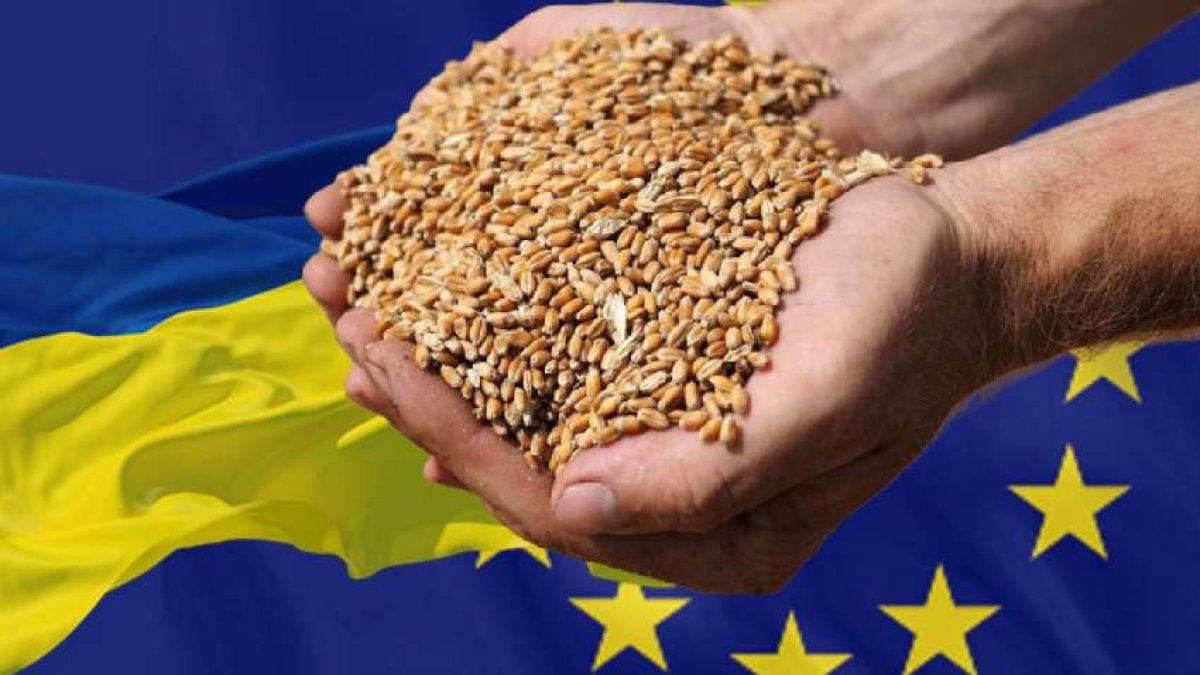Евросоюз продолжит поставлять украинское зерно на мировые рынки