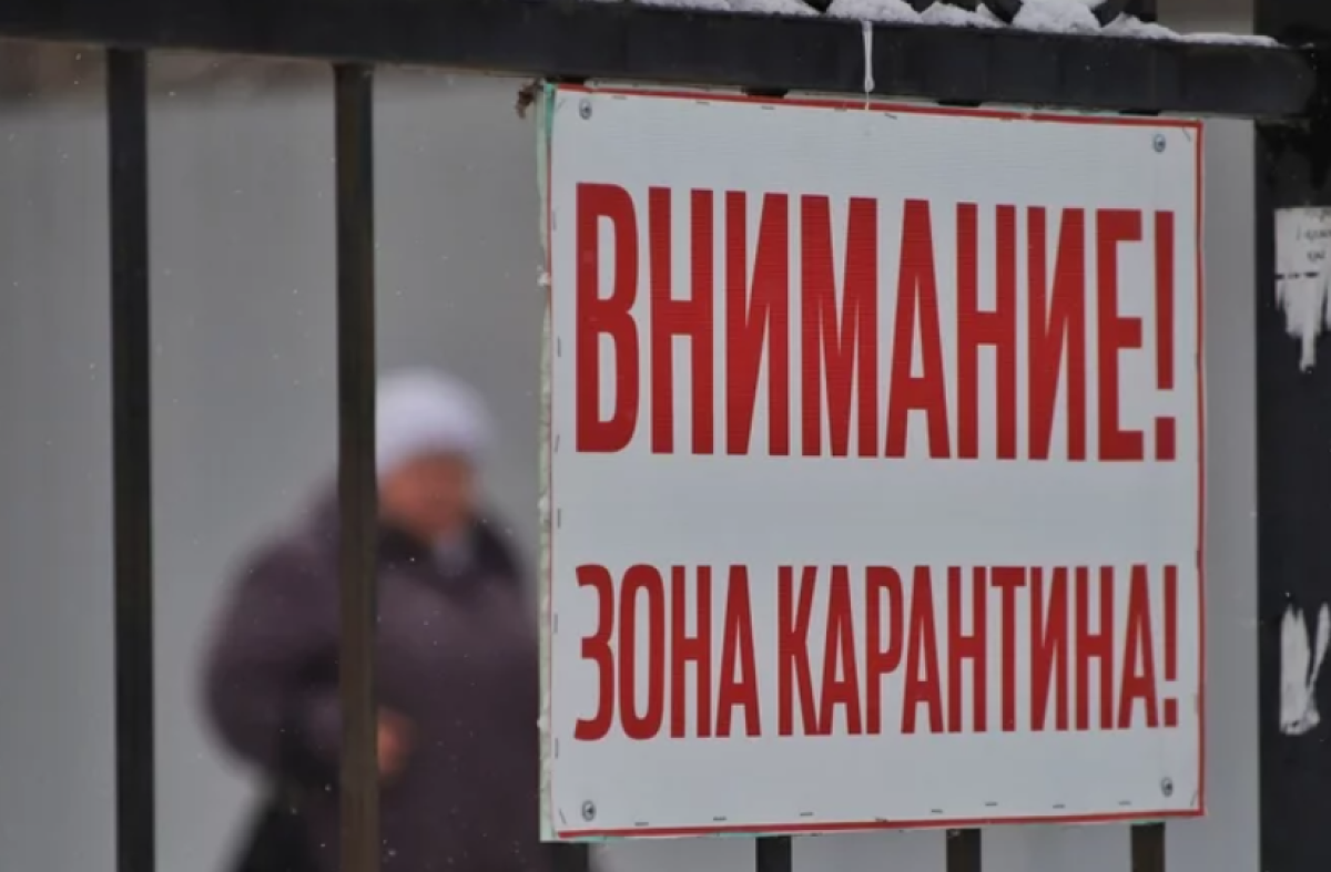 Карантин ввели в Актюбинской области из-за бешенства