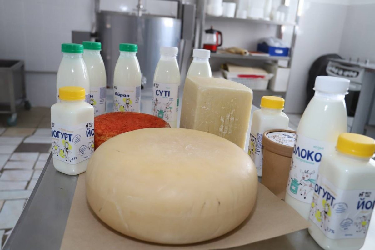 Казахстан примет участие на международном конкурсе сыров Le Mondial du Fromage-2023