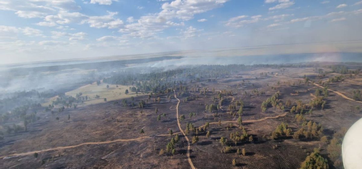 Лесной пожар в области Абай тушили 11 дней