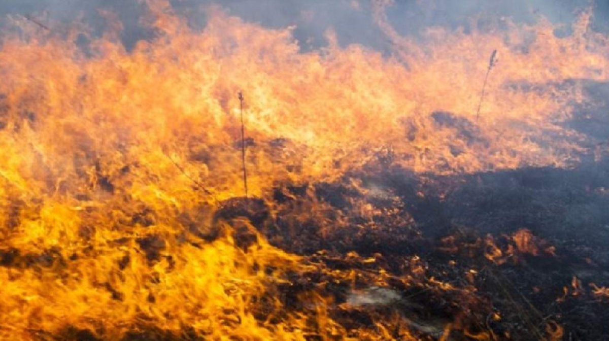 Во многих регионах Казахстана сохраняется пожарная опасность
