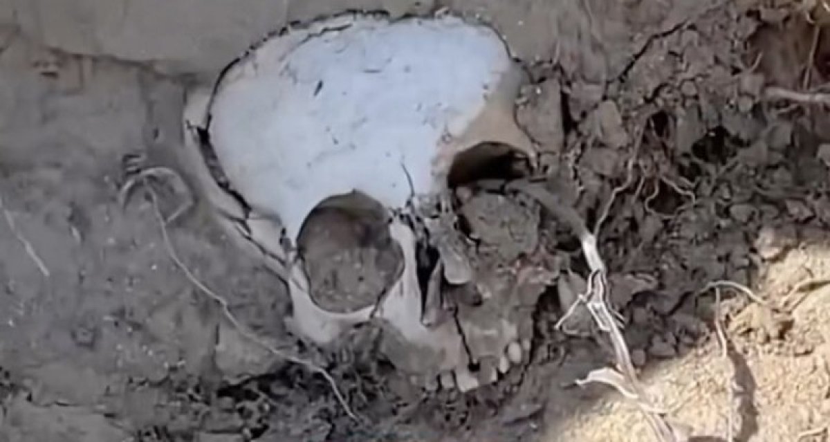 Видео с человеческими останками в Мангистау шокировало Казнет