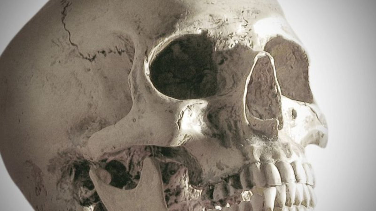 На кладбище Караганды нашли человеческий череп