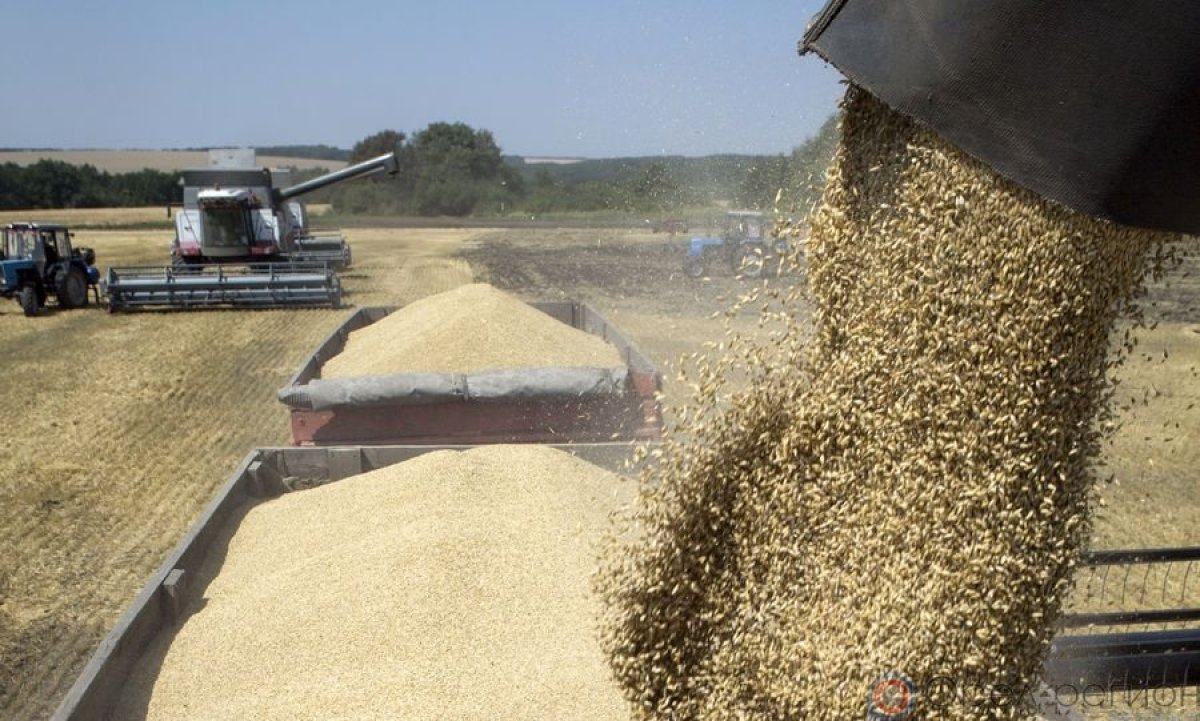 Казахстан экспортировал продукцию АПК на 2,7 млрд долларов