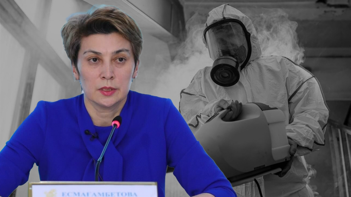 Эта деятельность нелицензируема - Есмагамбетова о гибели детей после дезинсекции