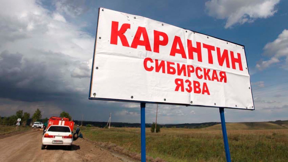 Карантин ввели в селе Карагандинской области из-за сибирской язвы