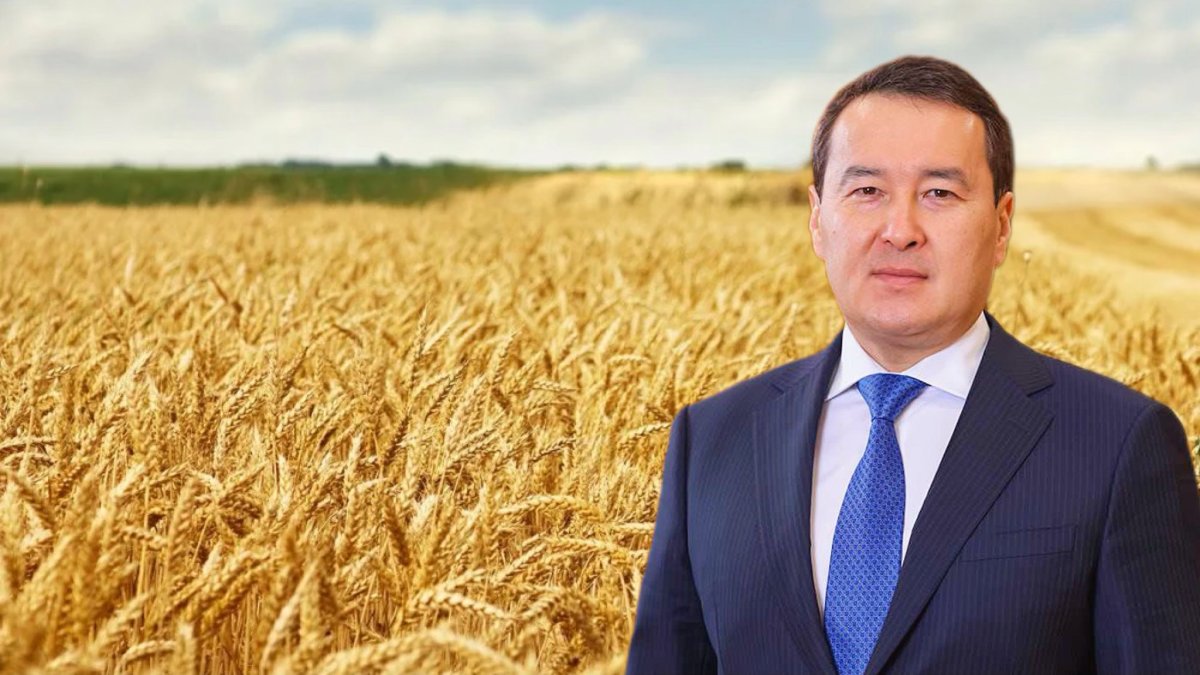 Смаилов прояснил слухи об аренде китайскими инвесторами земель в ЗКО