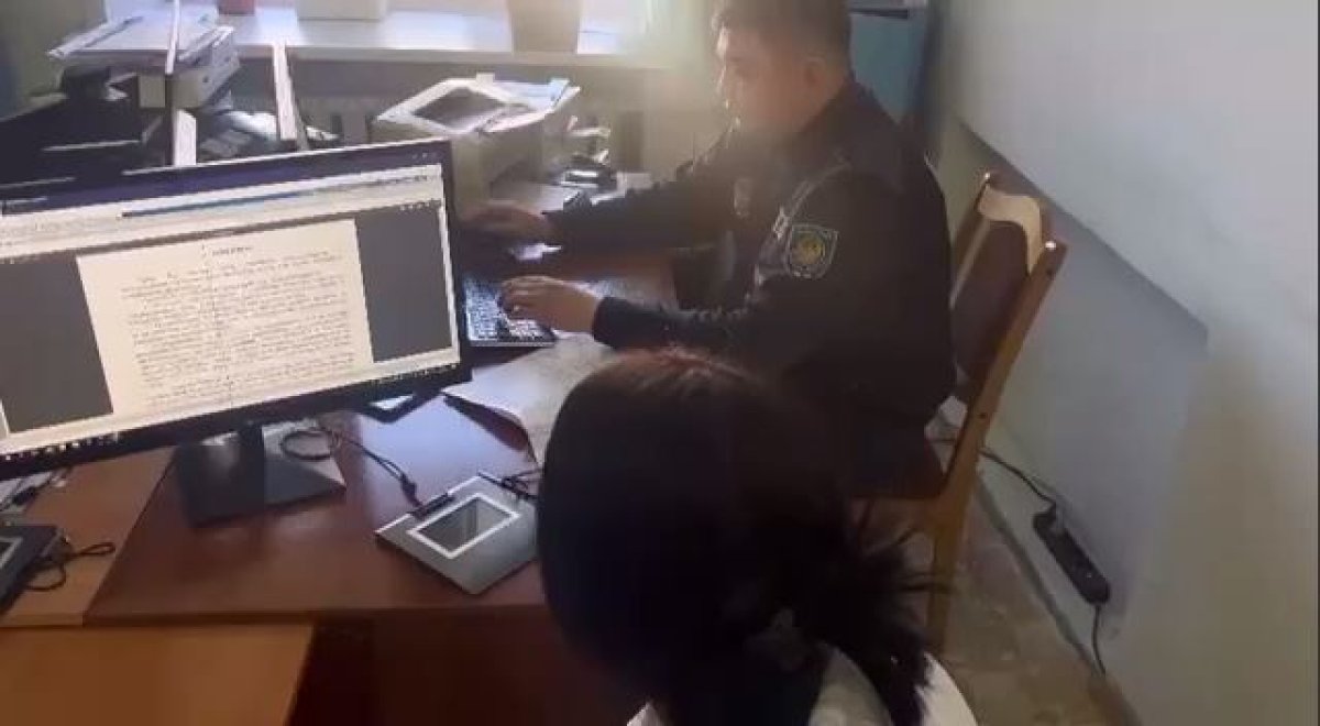 Жительница Павлодара извинилась за то, что облила кошку уксусом