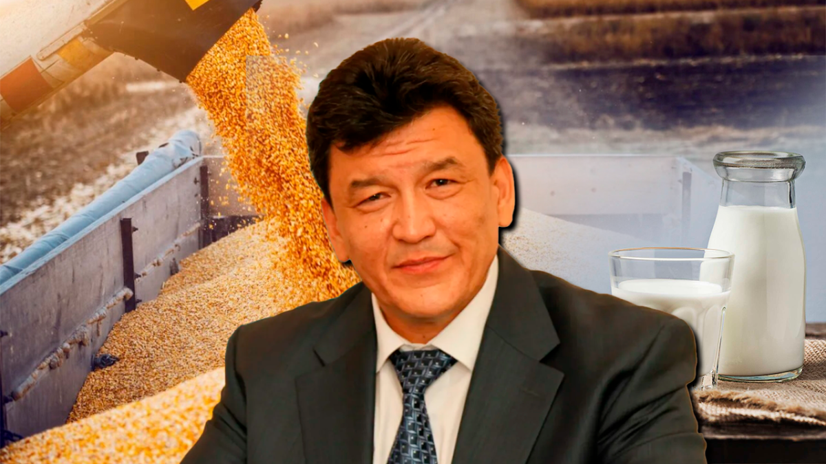 Молоко, зерно и труба, или Почему аким СКО не сомневается в обещаниях Клебанова