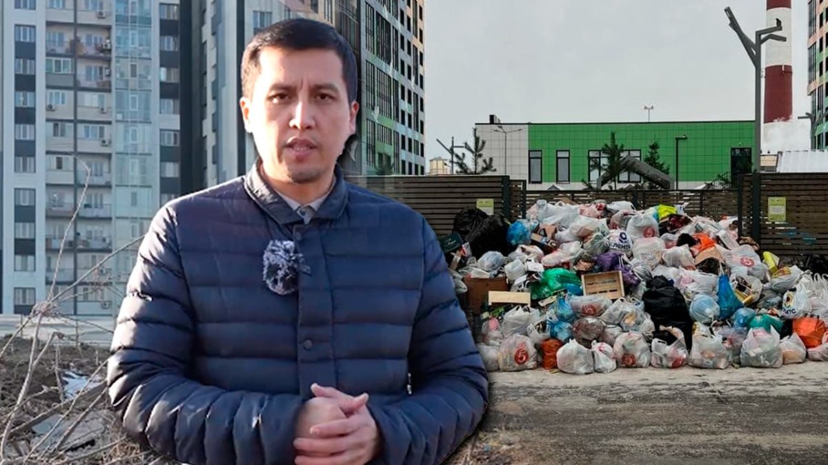 Qazaq Stroy обратился к жителям Алматы после вырубки деревьев