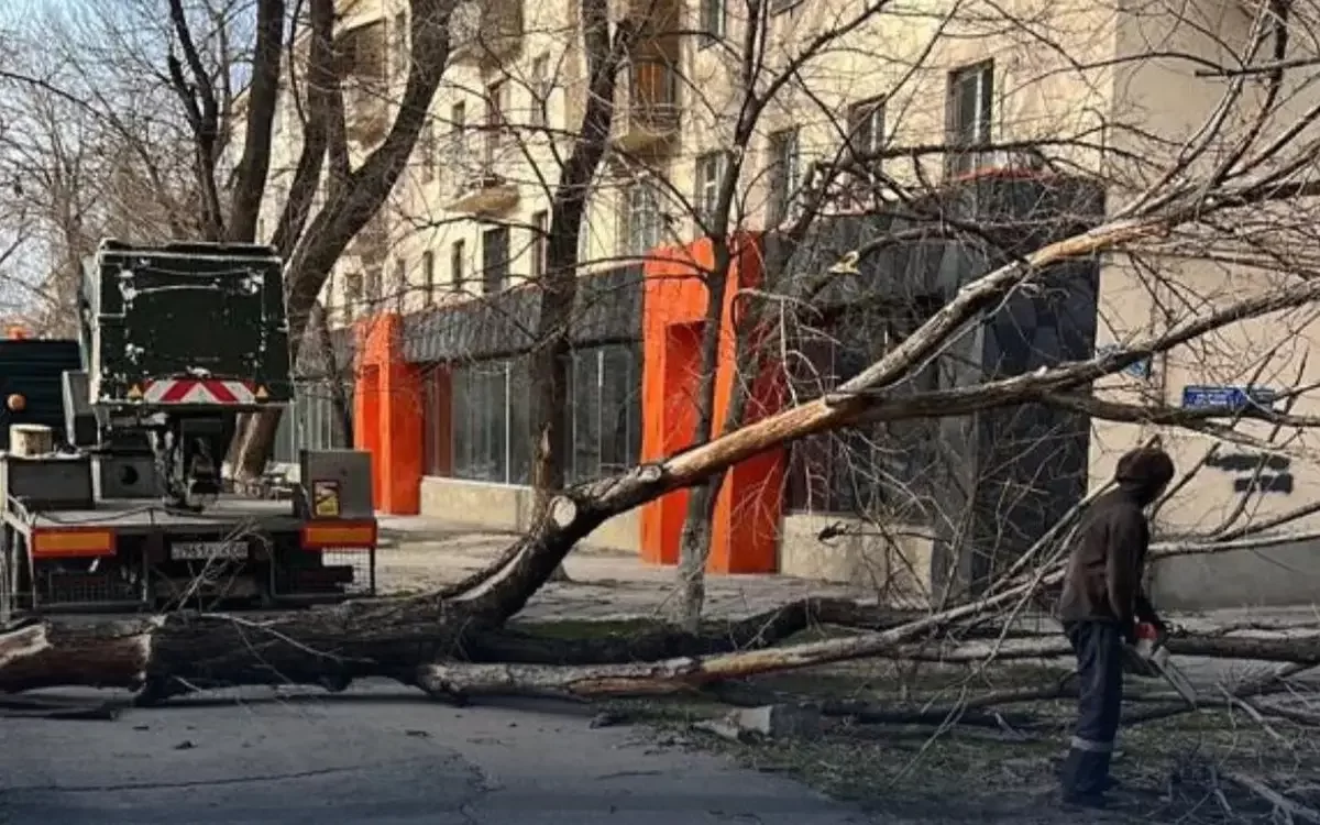Жители Тараза остались без электричества из-за урагана