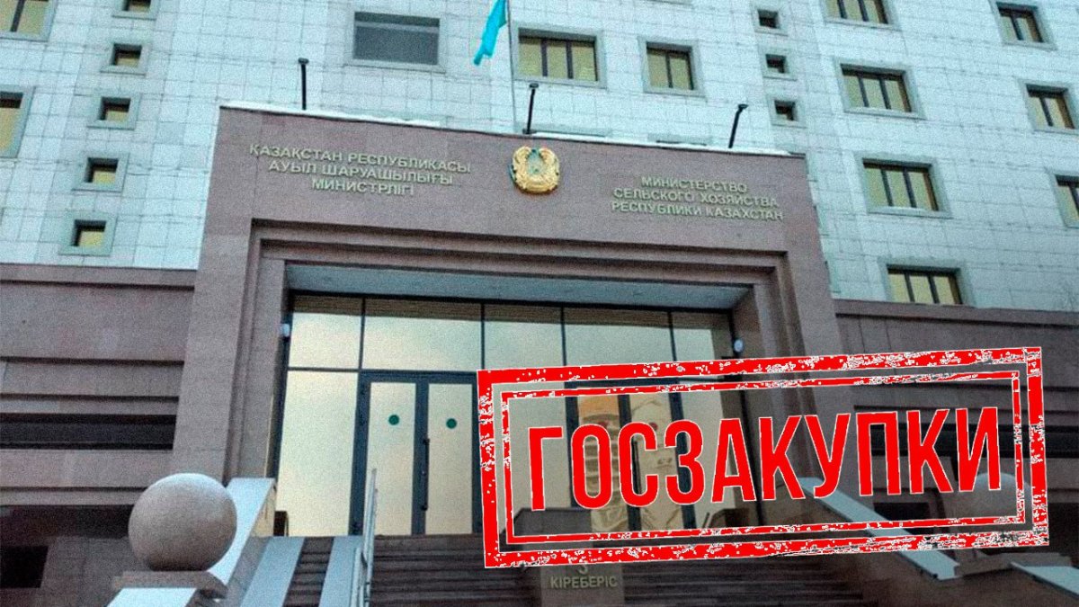 Тапочки раздора, или Кто велит не верить сайту госзакупок