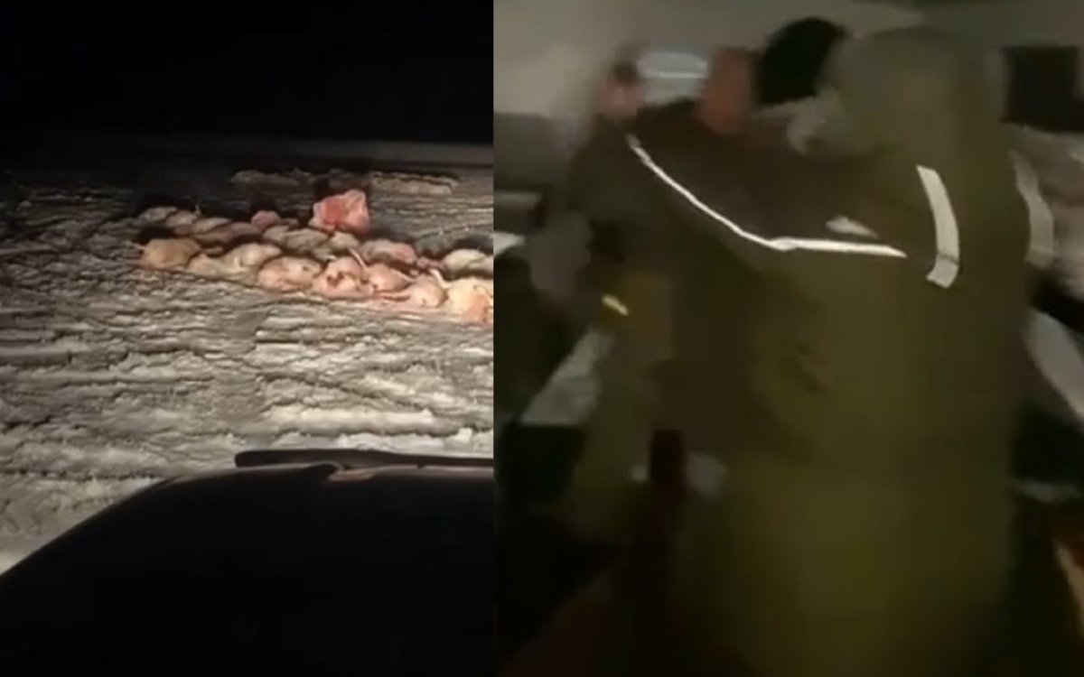 Драка деревенских парней с работниками «Охотзоопрома» в Улытау переросла в большой спор