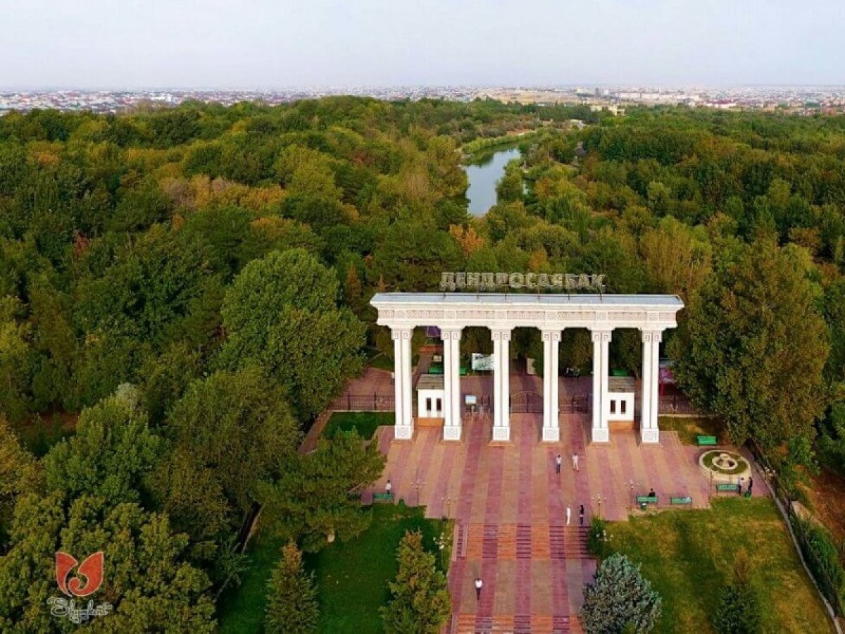 Государству вернули часть земли дендропарка в Шымкенте