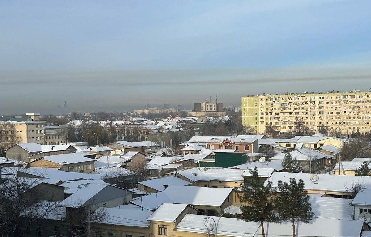 Основная ставка, теплицы и загрязнение воздуха: обзор узбекской прессы