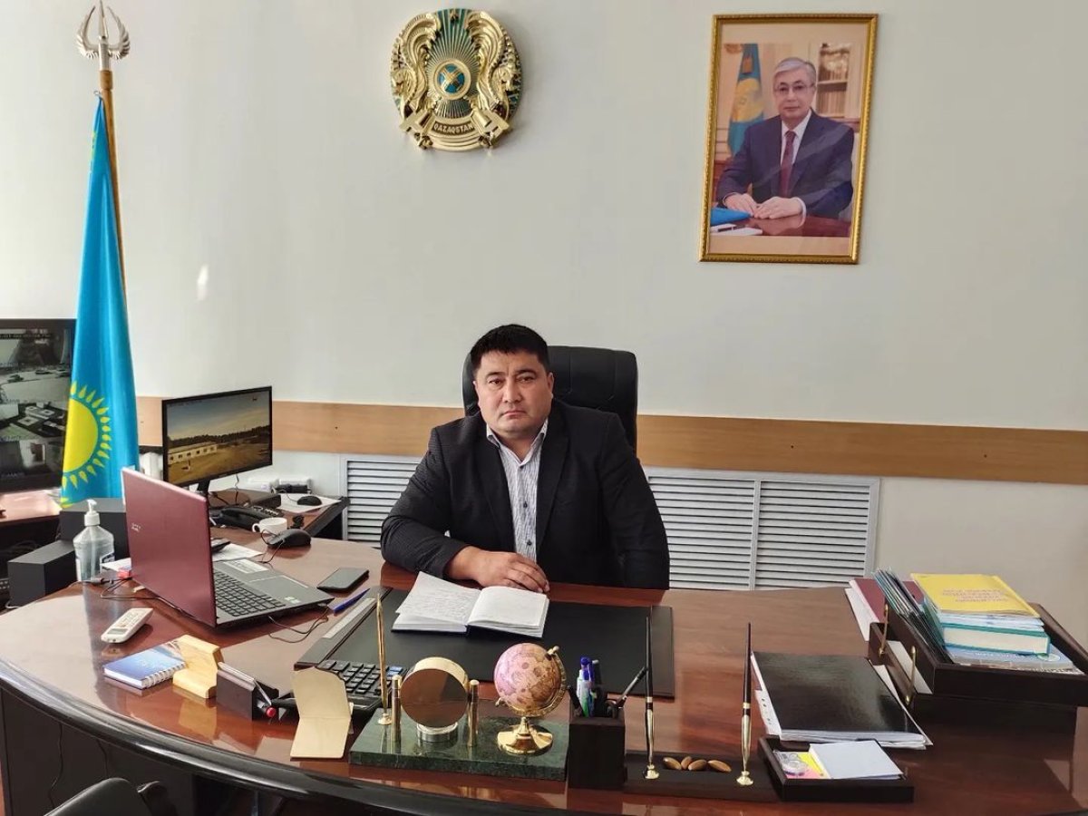 Вырубка деревьев: арестован руководитель "Ертіс Орманы"