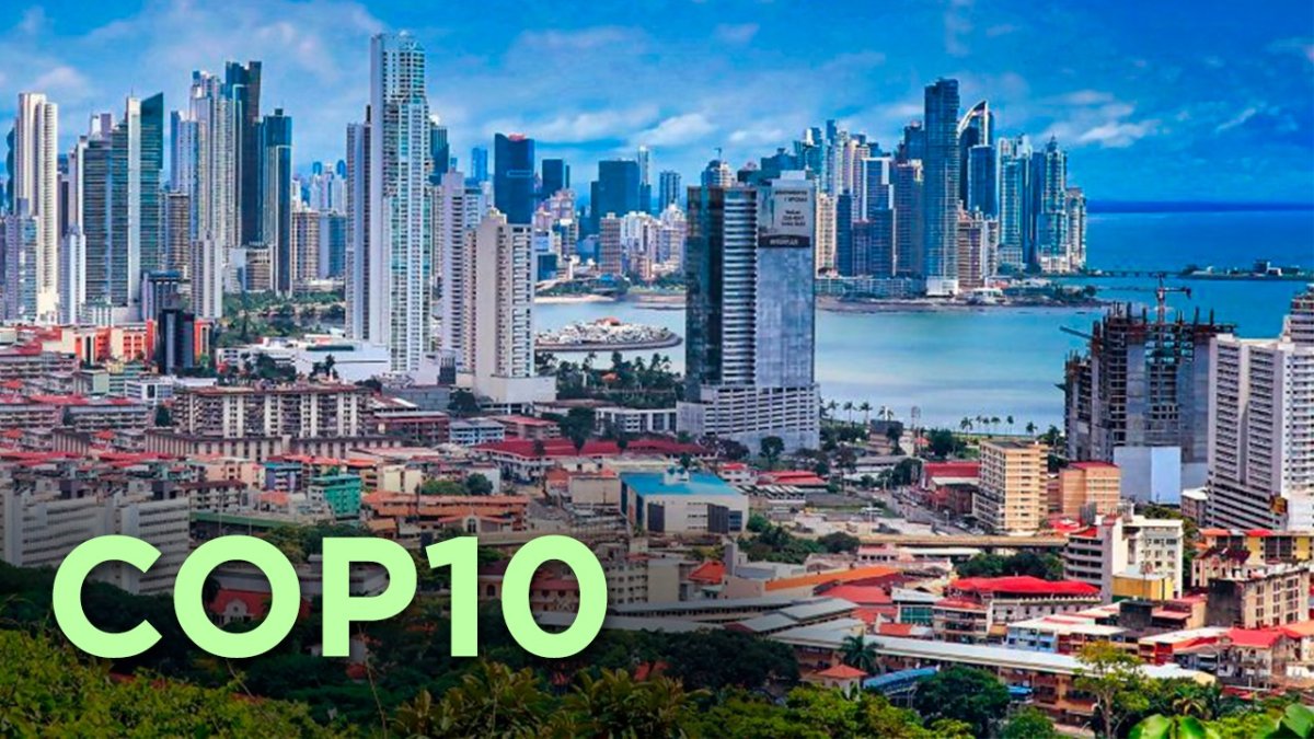 Чем не угодил Блумберг на COP10 и почему эксперты считают, что в борьбе с курением ВОЗ зашла в тупик