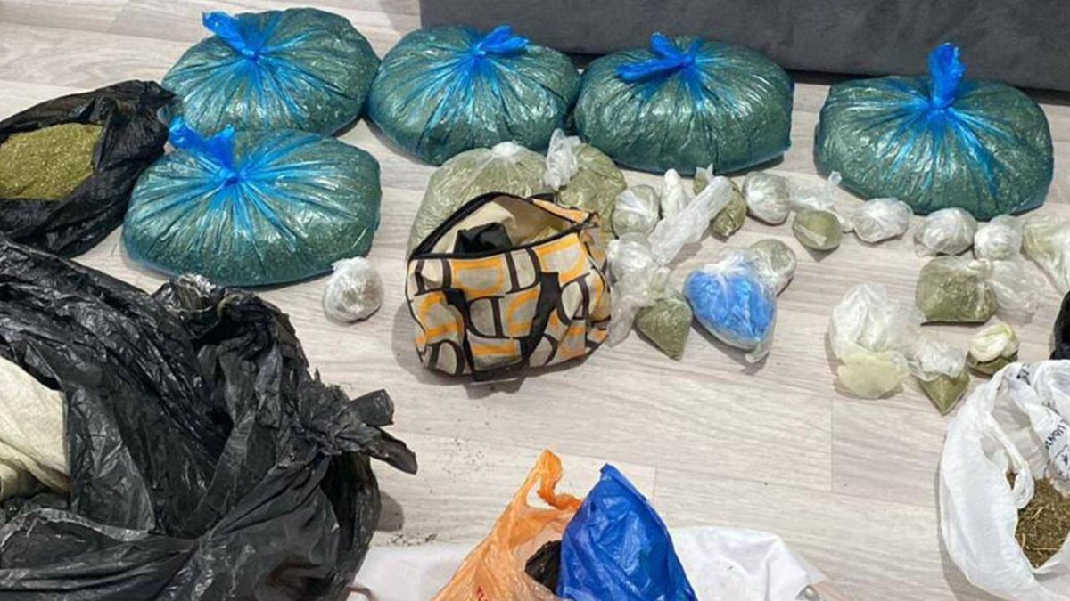 Марихуана и ЛСД: крупный наркоканал пресекли в Улытау