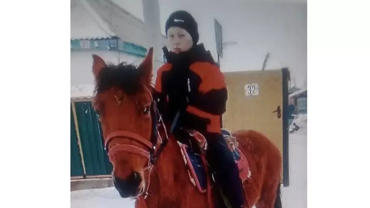 В степи Абайской области пропал восьмилетний ребенок