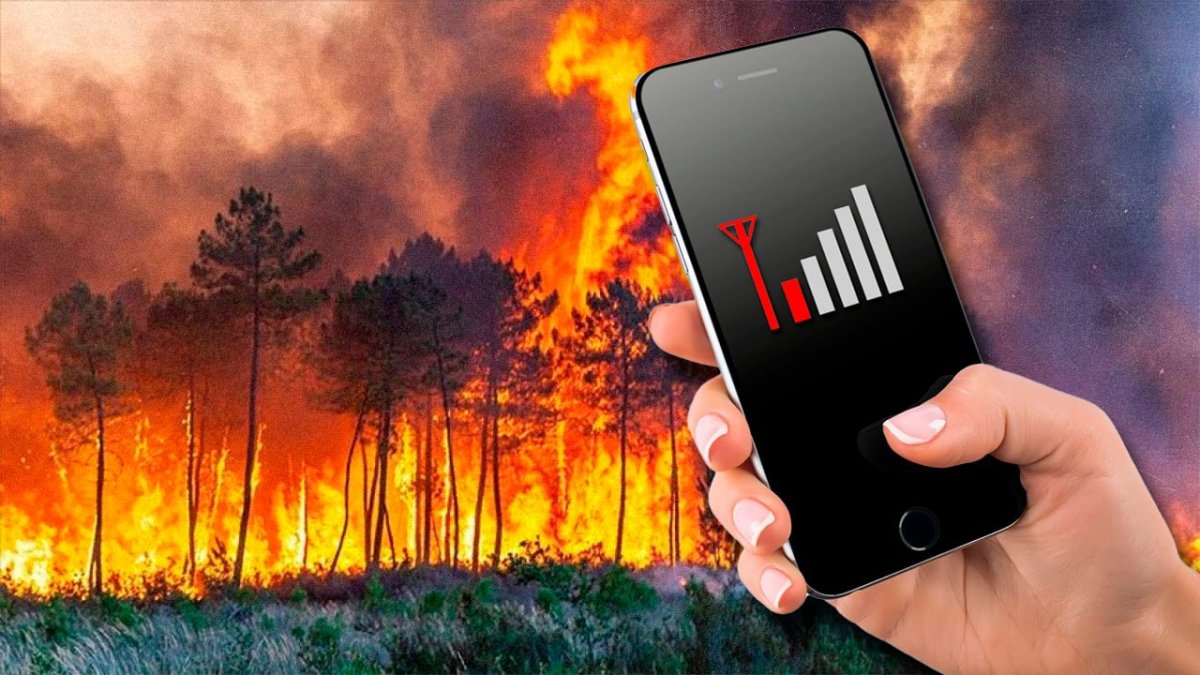 Казахстанцы гибнут в лесах из-за отсутствия связи: почему операторы не проводят интернет