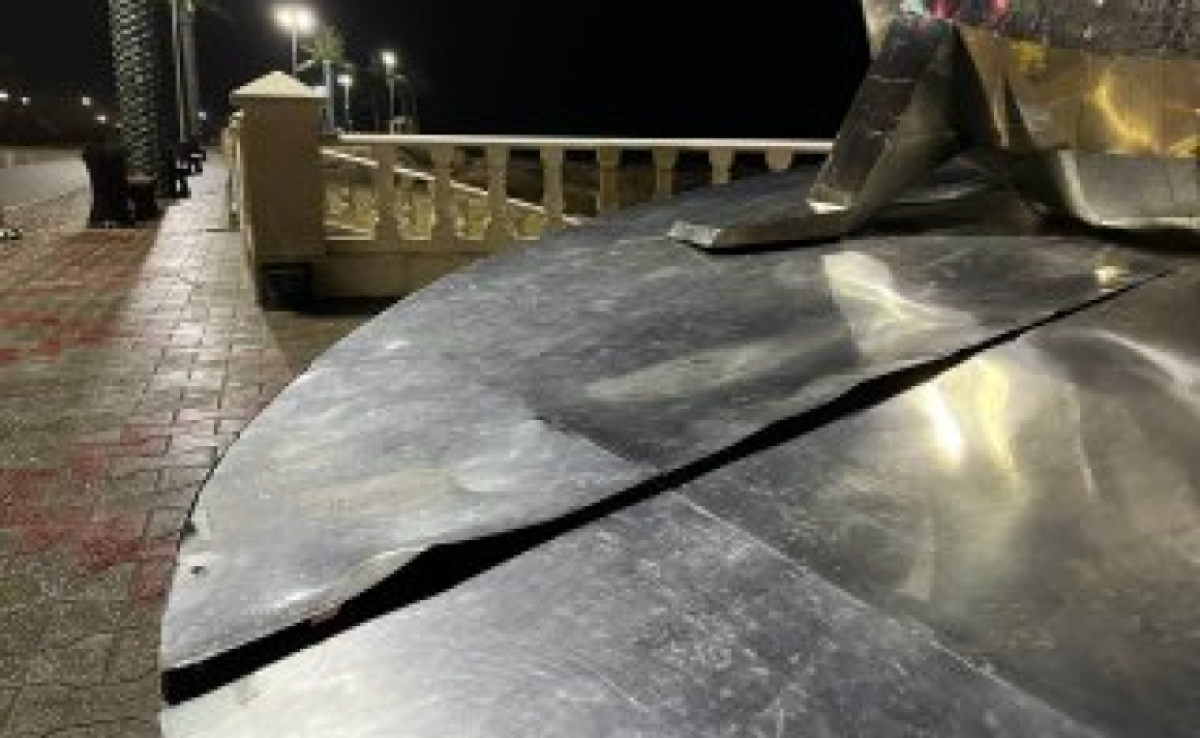Шокирующие кадры: в Актау вандалы уничтожают фигуру тюленя