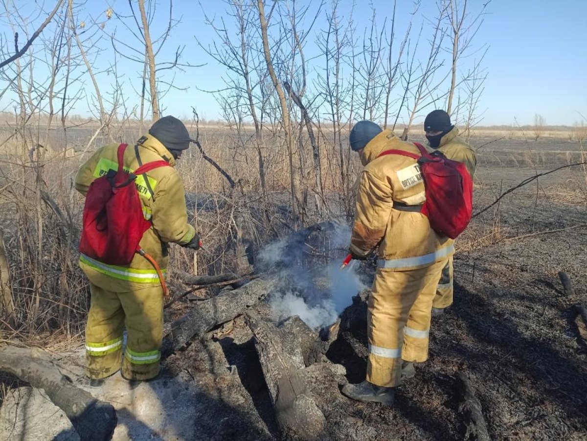 Вдвое увеличилась площадь природного пожара на побережье Каспия