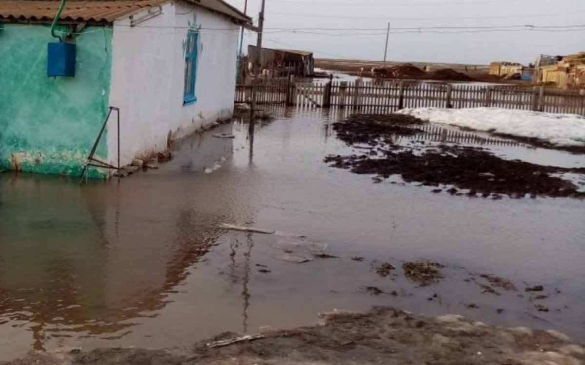 4-летний ребенок утонул в талой воде в Актюбинской области