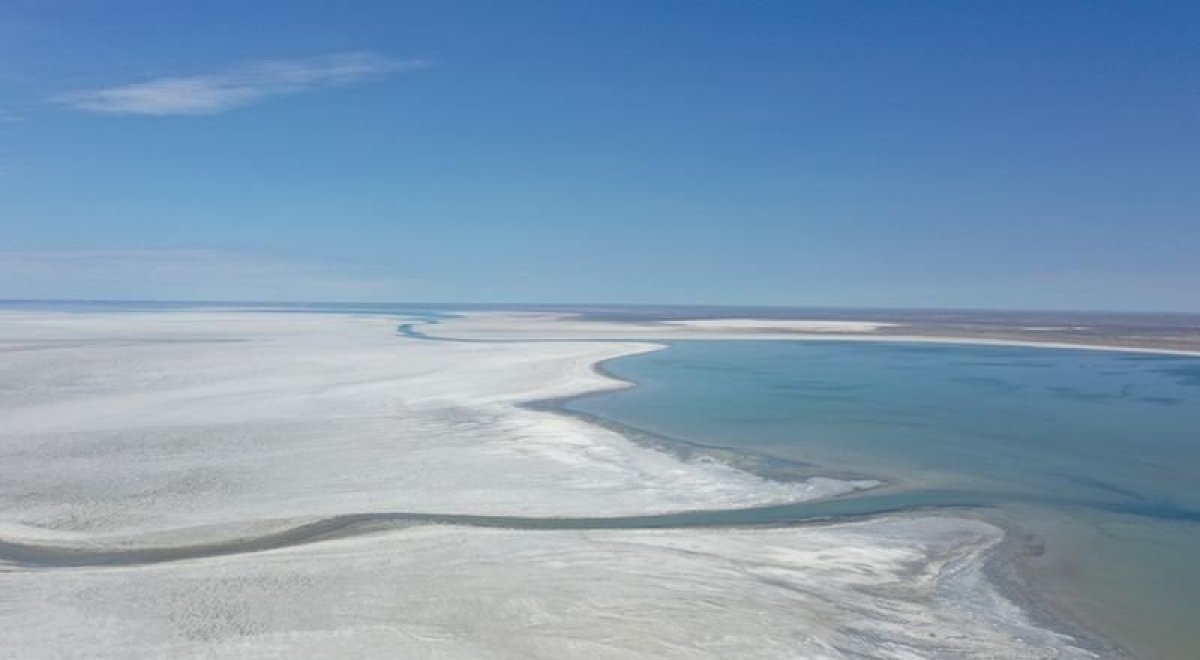 Оазис планируют создать на территории Аральского моря