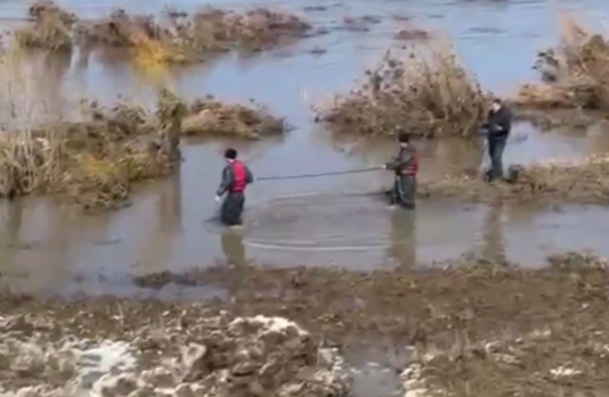 Еще в одной области Казахстана ввели режим ЧС