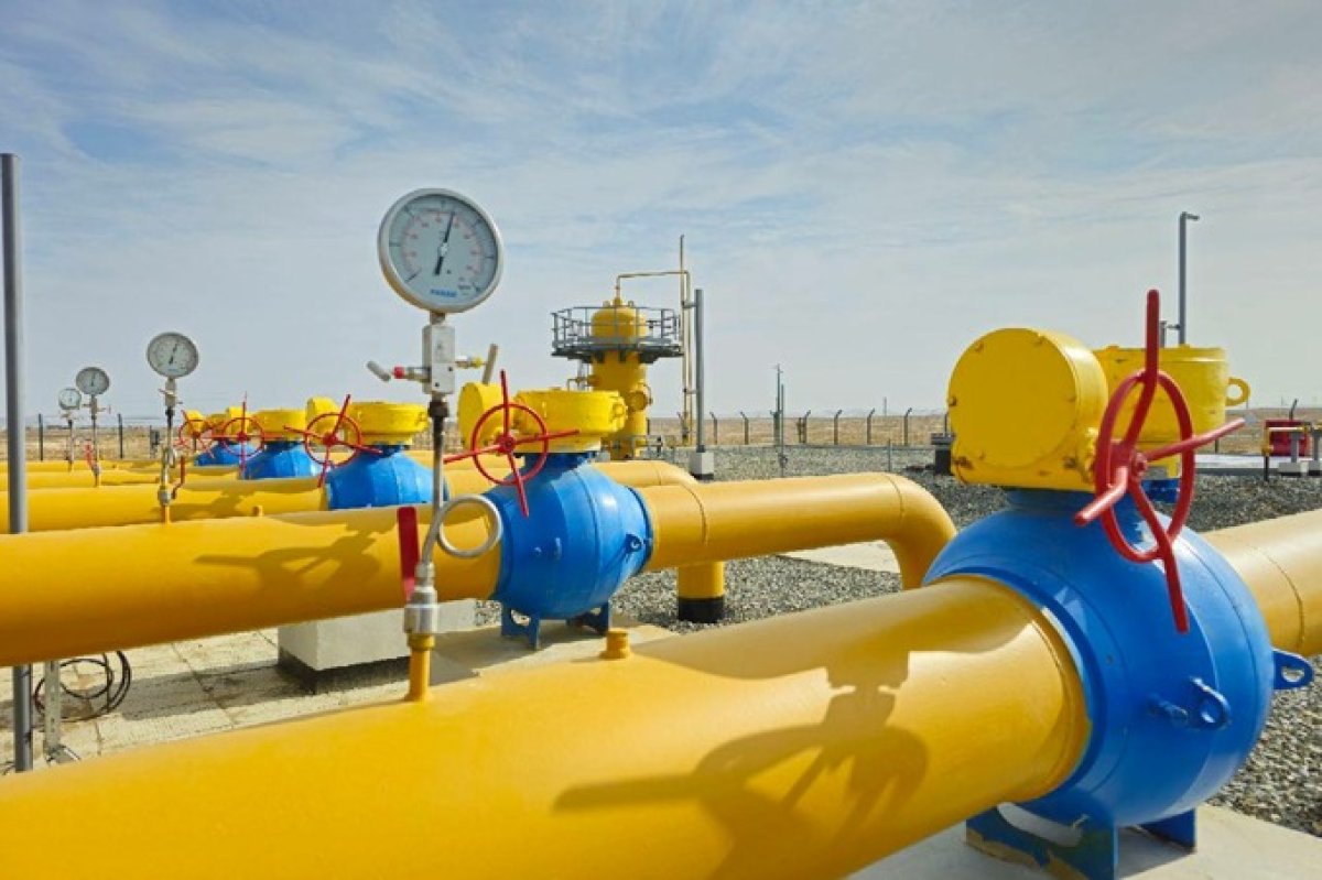 Рейтинг госорганов, импорт газа из России, недостатки банковской сферы: обзор узбекской прессы