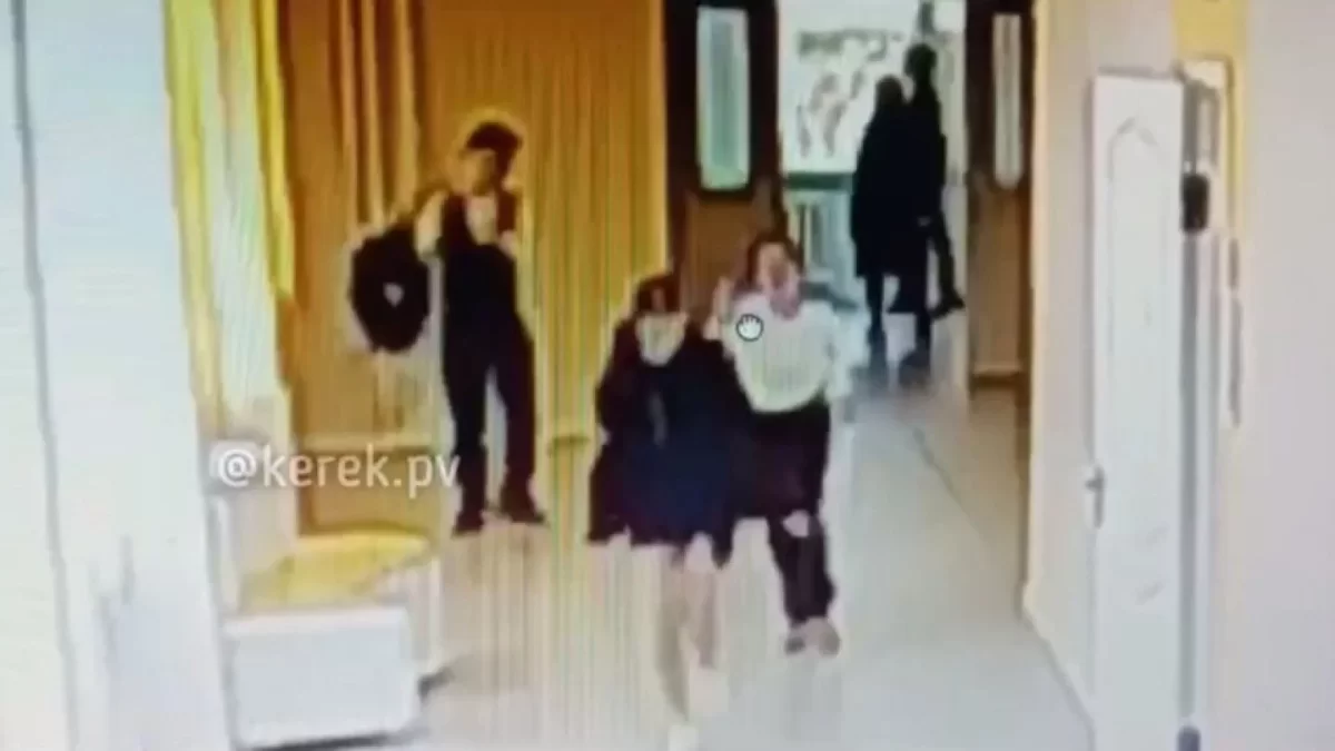 Сын акима в Павлодаре сломал девочке нос: мать школьницы оштрафовали